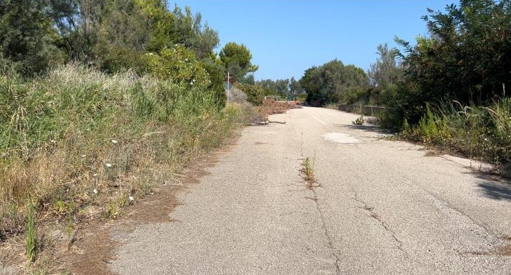 Punta Aderci, chiusa la caccia al cinghiale