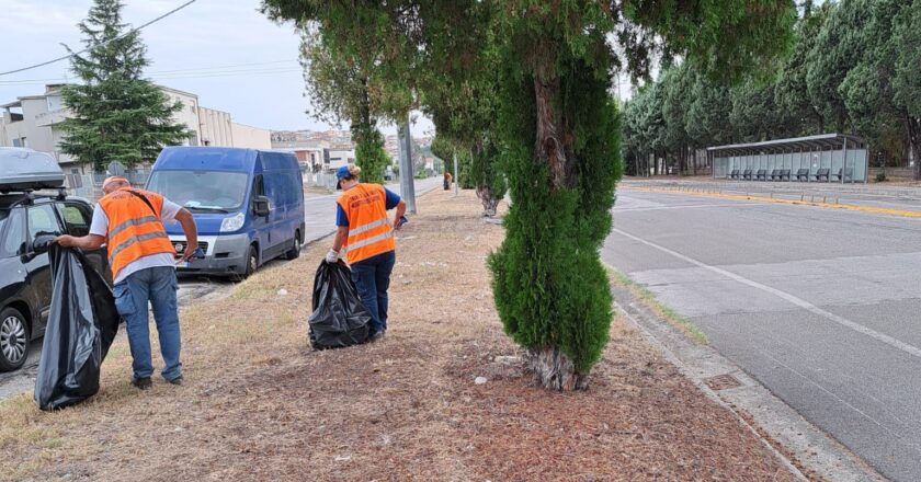 Riciclare con stile: piccoli gesti che fanno grande differenza