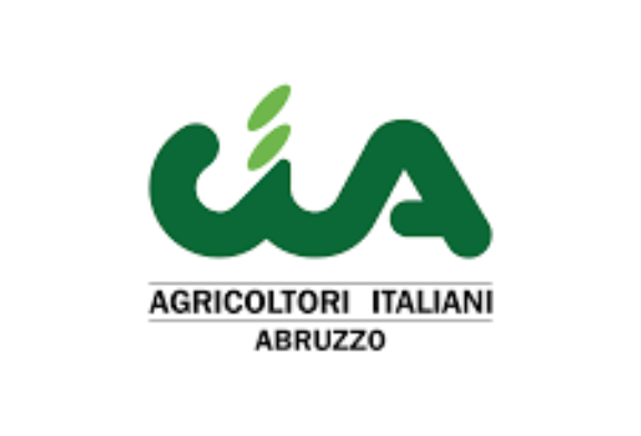 CIA Abruzzo: l’olio extravergine d’oliva abruzzese verso l’ IGP. Promosso un percorso di valorizzazione e tutela della produzione regionale   