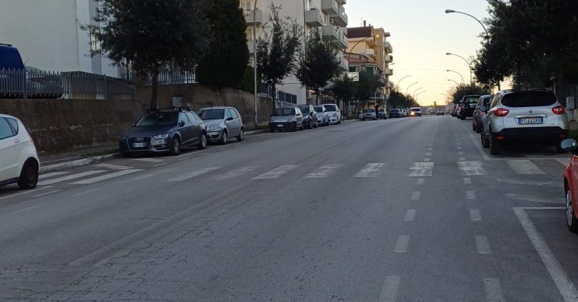 Pitbull libero e pericoloso a Vasto. La testimonianza di un podista
