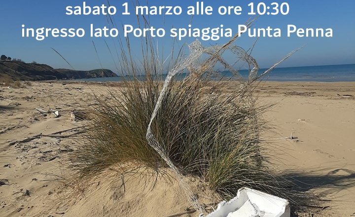 Il 1° marzo la raccolta dei rifiuti sulla spiaggia di Punta Penna a Vasto. Iniziativa dei pescatori insieme a Comune, Cogecstre e Pulchra