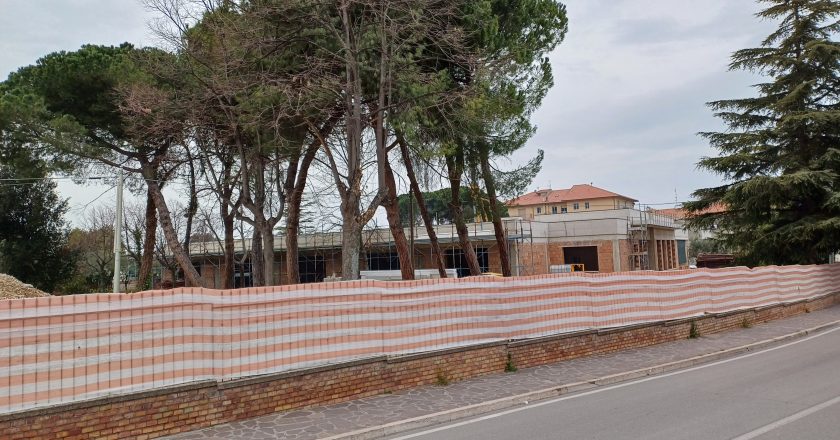 Il Comitato degli Alberi: “Non ci ascoltano”