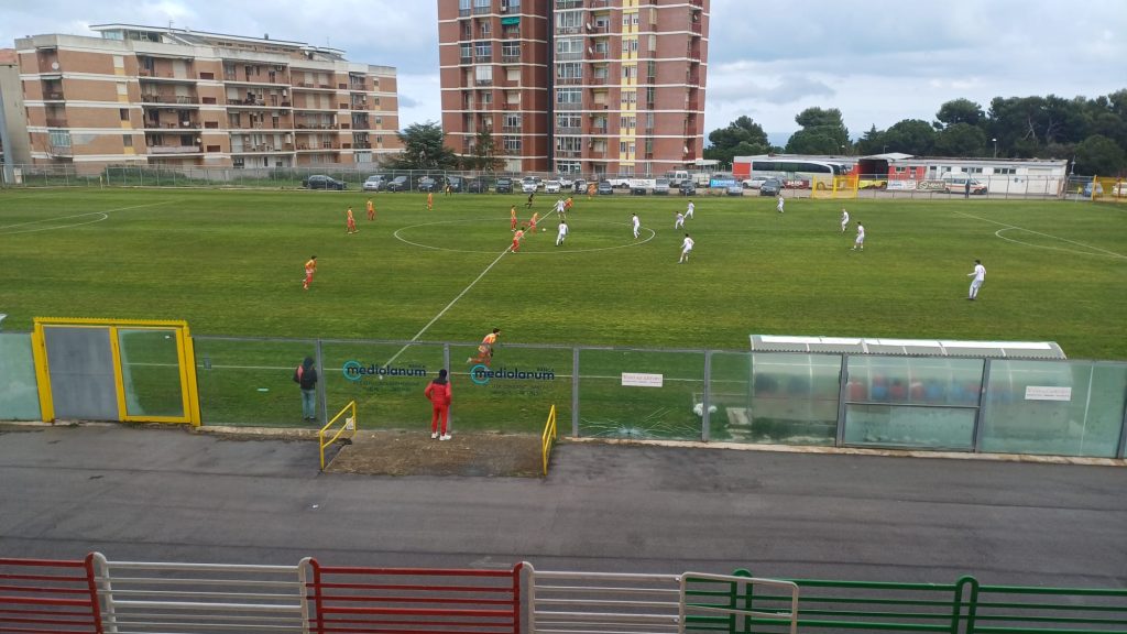 Pro Vasto