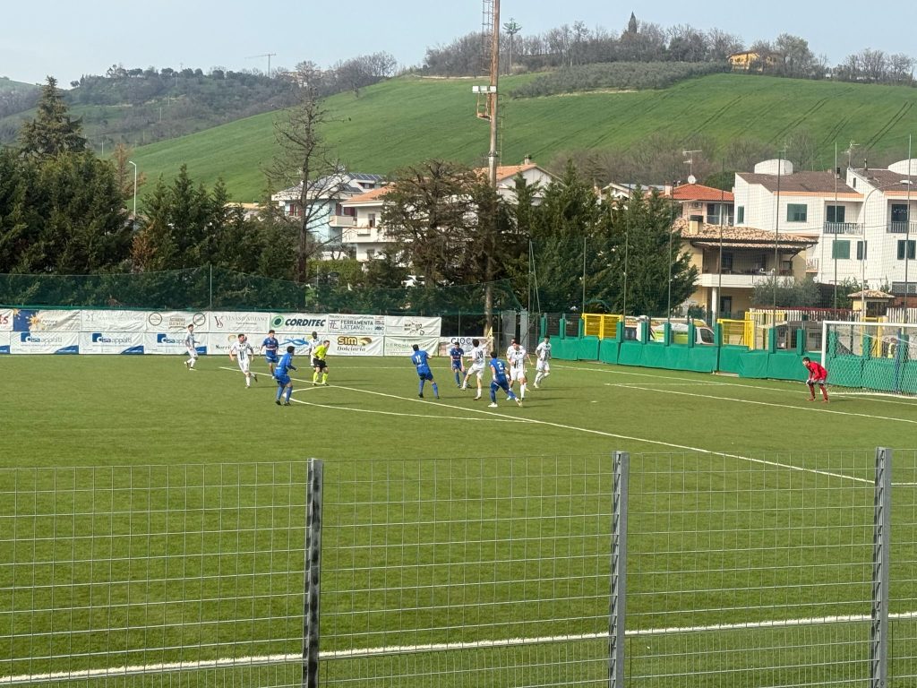 Pro Vasto