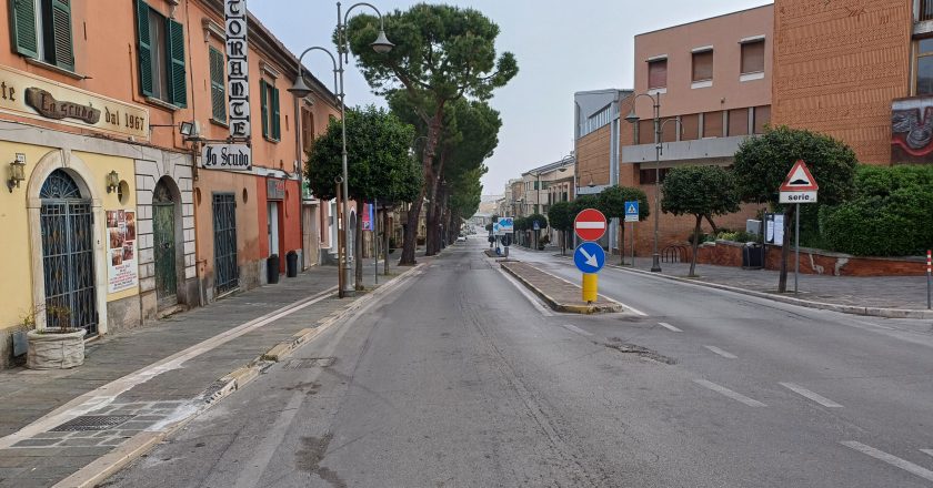 Vasto, dopo i cani un altro gatto avvelenato