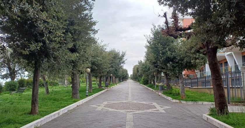Vasto, alla villa comunale morìa di piccioni