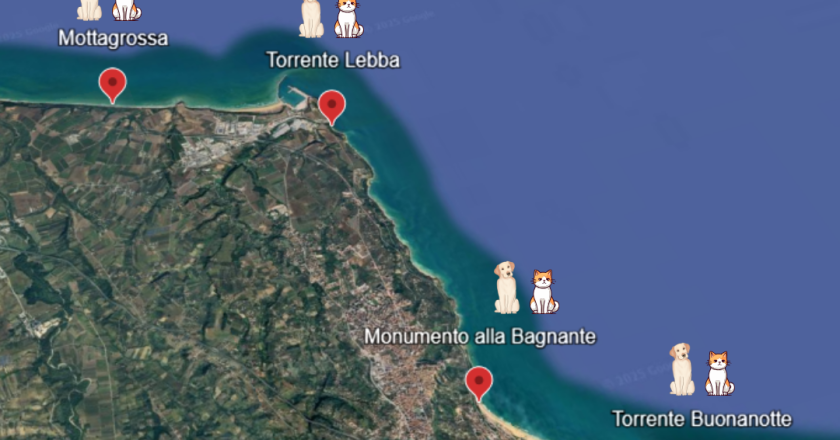 Vasto, sono quattro le aree dove è consentito in spiaggia l’accesso di animali di affezione