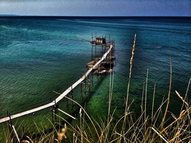 mare