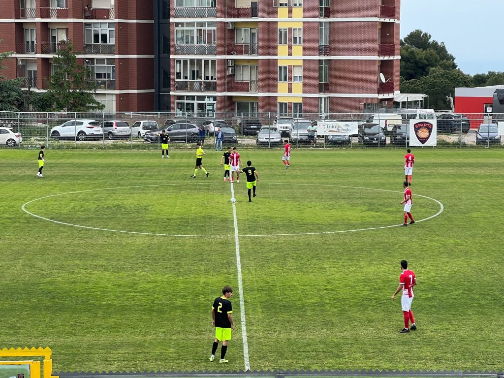 Pro Vasto