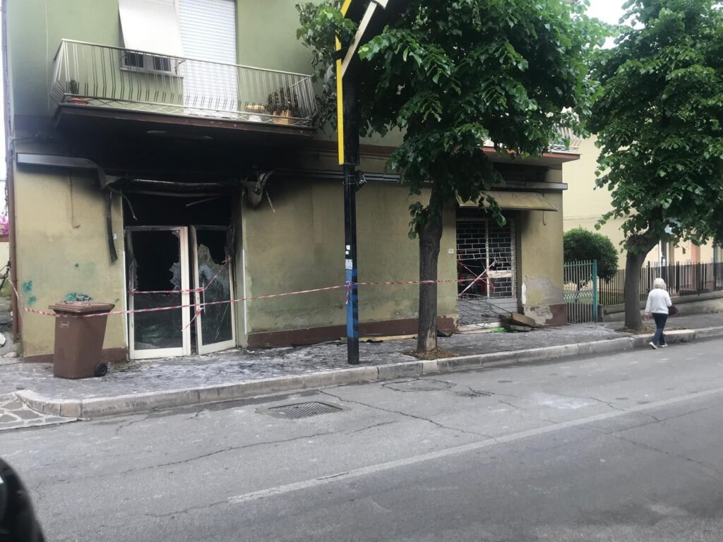 Fiori e Piante D'Adamo