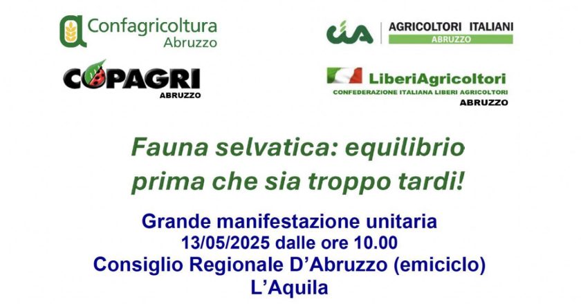 Fauna selvatica, agricoltori in piazza: “Serve equilibrio prima che sia troppo tardi”
