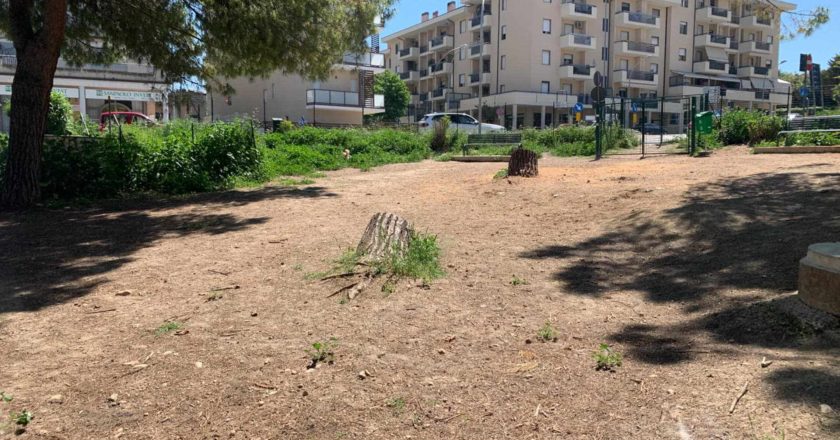 Vasto, riaperta l’area sgambamento cani