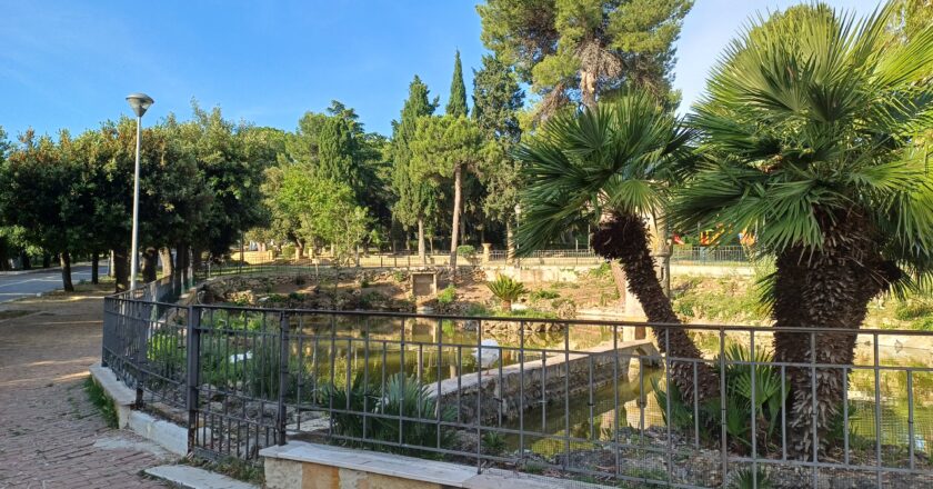 Tartarughe tolte dalla villa: “Una vicenda che deve insegnare”