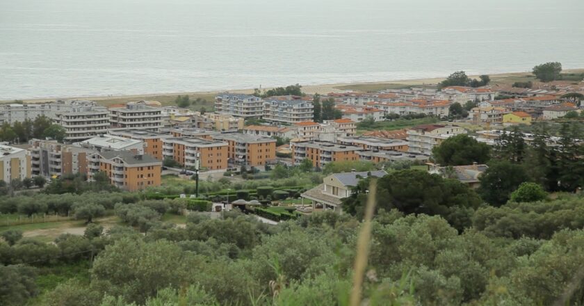 Metanodotto a Montevecchio, abbattuti ulivi secolari e vigneto