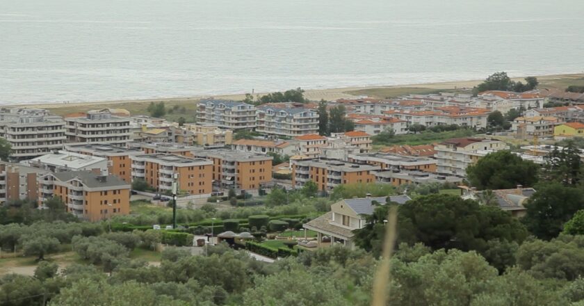 Metanodotto a Montevecchio, abbattuti ulivi secolari e vigneto