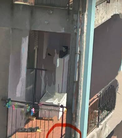 San Salvo, intervento degli Amici di Zampa per salvare un cagnolino