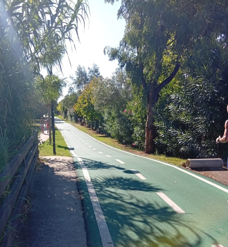 Pista ciclabile