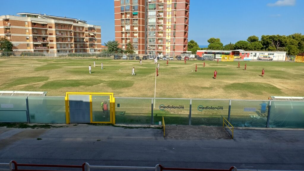 Pro Vasto