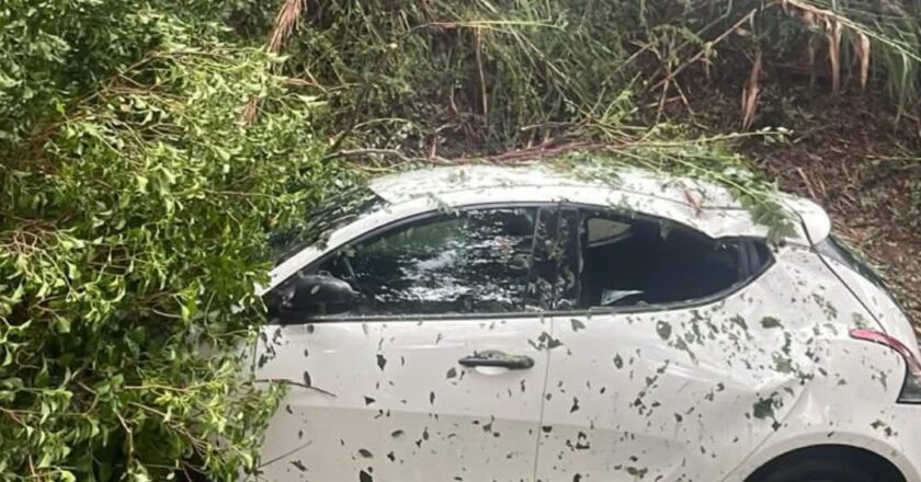 Maltempo, ingenti i danni a Fossacesia: alberi caduti