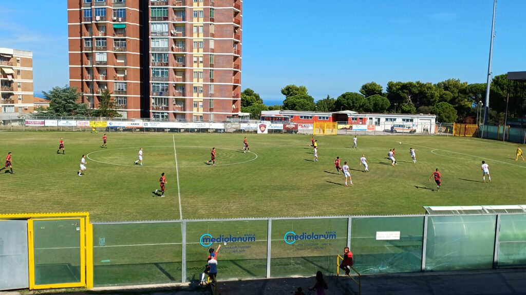 Pro Vasto