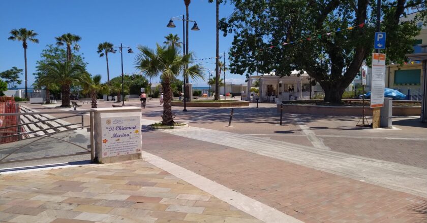 Vasto, la Regione scrive al Comune: “Decoro al pioppo monumentale della Marina”