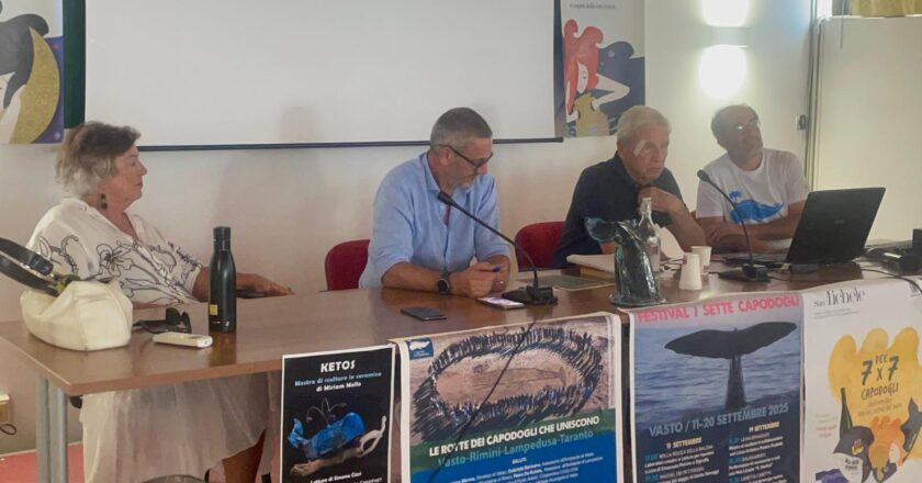 Festival dei Capodogli: successo per la tavola rotonda sulle rotte che uniscono Vasto, Rimini, Lampedusa e Taranto