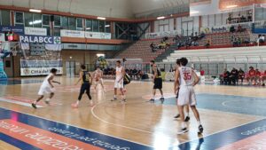 Vasto Basket