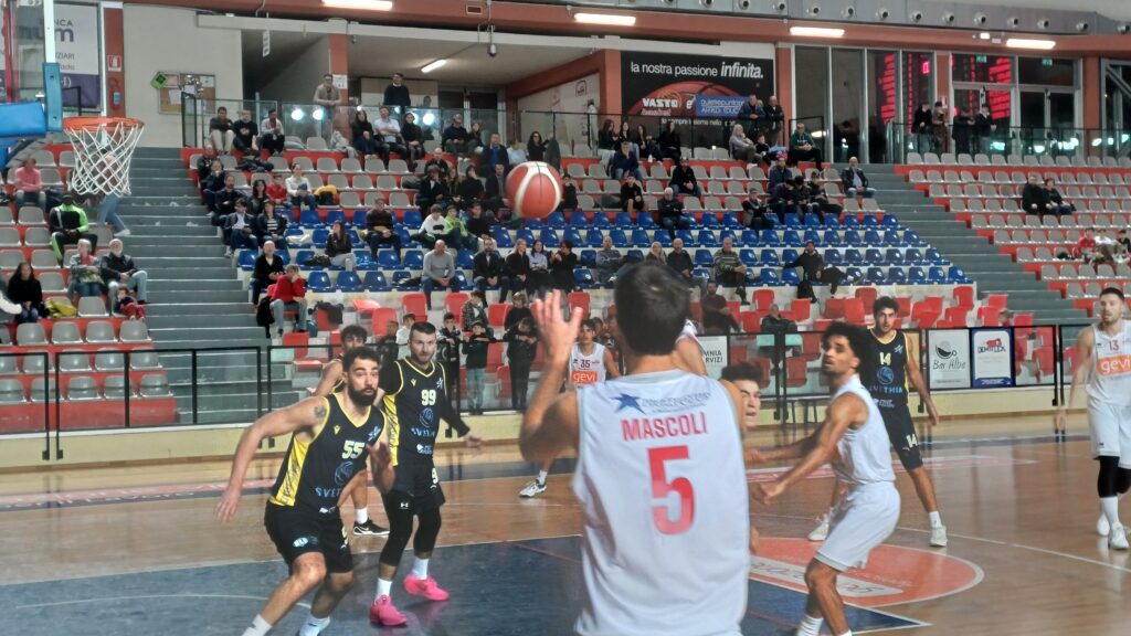 Vasto Basket