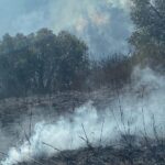 incendio