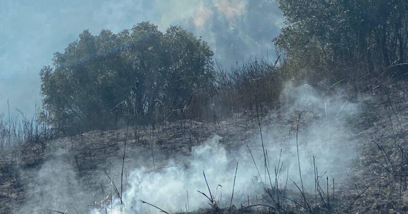 Incendi nel Vastese, ora è caccia al piromane