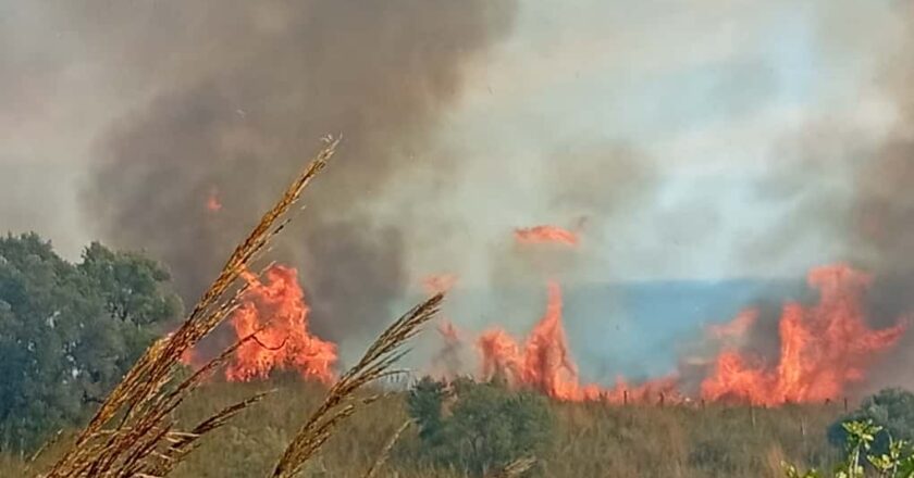 Vasto, incendio a Montevecchio: a lavoro anche un elicottero dei Vigili del Fuoco
