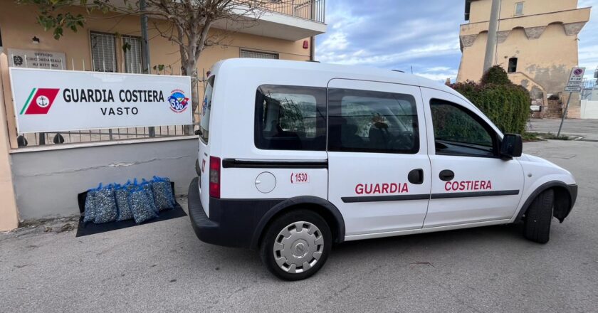 La Guardia Costiera di Vasto contro il commercio illegale di vongole