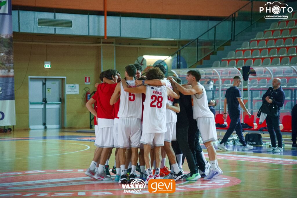 vasto basket