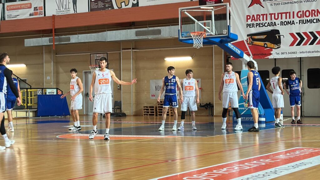Vasto Basket