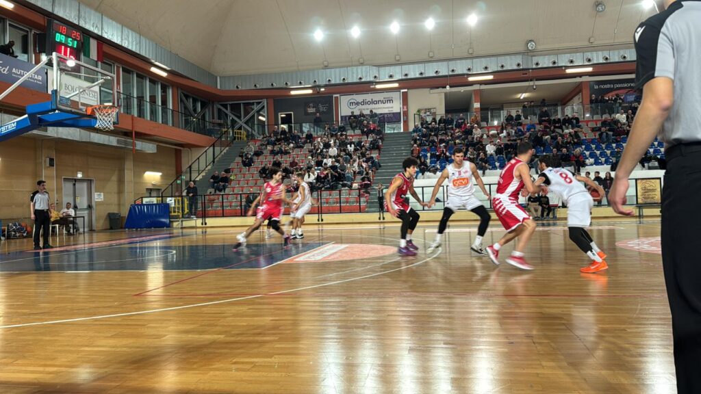 Vasto Basket