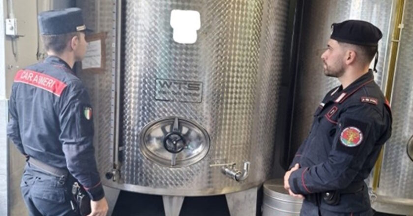 I Carabinieri della Tutela Forestale e dei Parchi scoprono attività irregolare, rifiuti non autorizzati e lavoratori in nero nella campagna olearia