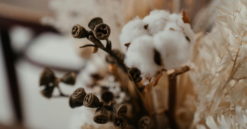 WYBC, il brand che rispetta ambiente, persone e tradizione