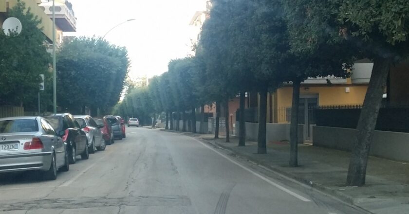 San Salvo, al via l’abbattimento di 69 lecci. Da lunedì lavori su via Madonna delle Grazie e nuova ciclabile