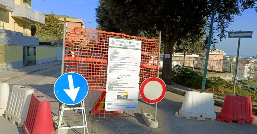 San Salvo, il taglio degli alberi nell’indifferenza