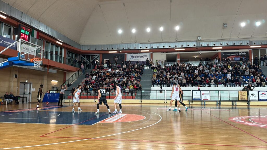 Vasto Basket
