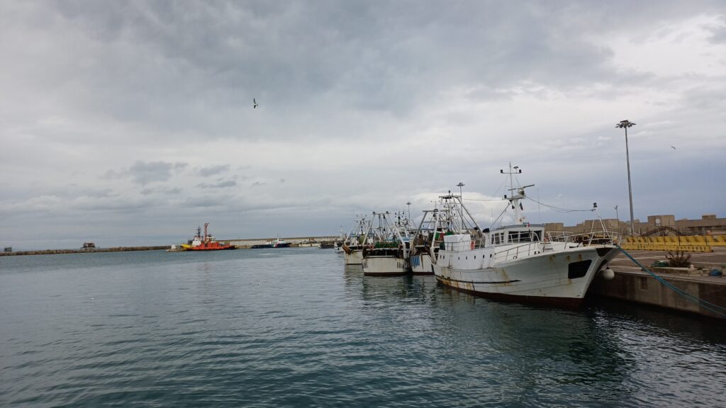 Pescherecci Marineria