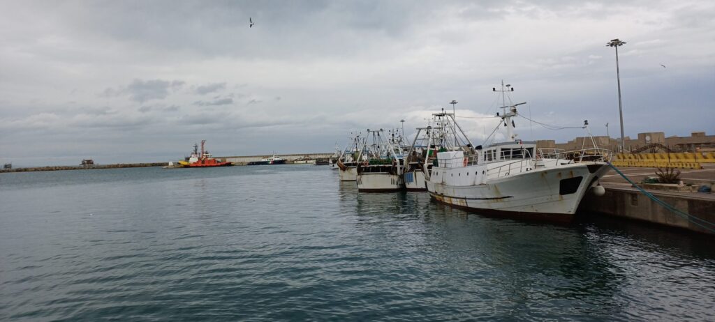 Pescherecci Marineria