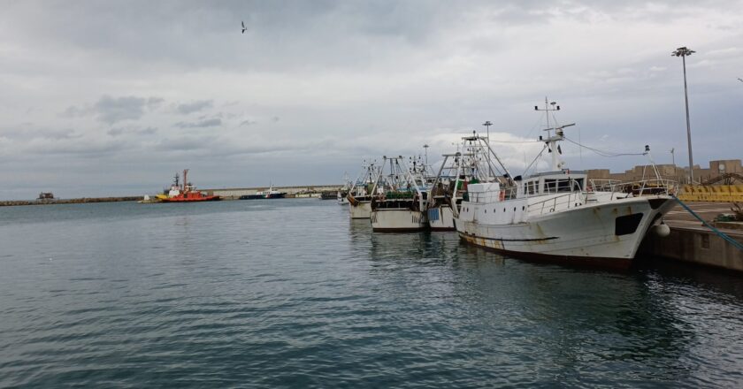 Cozze, adesso i produttori locali sono in crisi