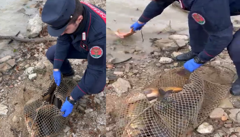 I Carabinieri della Tutela Forestale e dei Parchi intervengono a tutela della fauna ittica