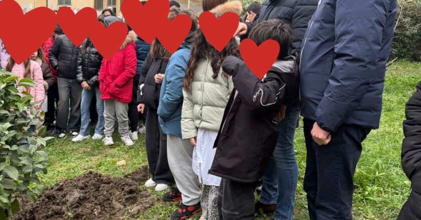 Tre alberi di agrumi messi a dimora nei giardini dei plessi Martella e Santa Lucia