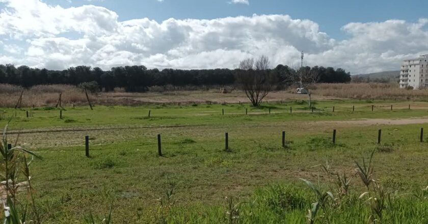 Gabriele Marchese: “Vendere all’asta il terreno della particella 18 è una scelta miope”