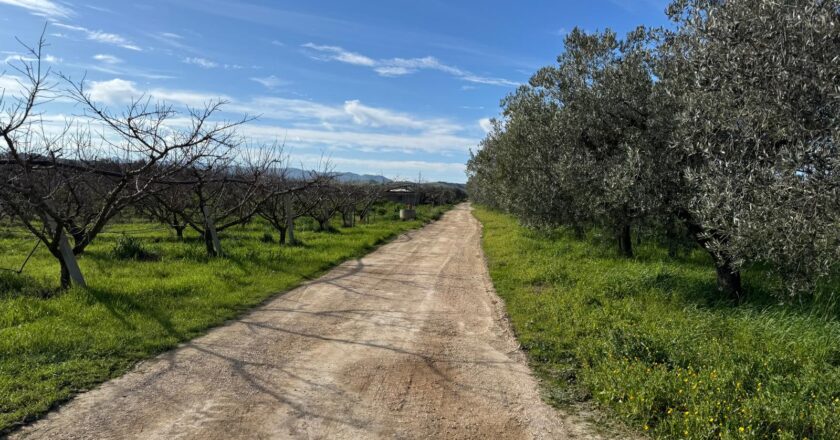 San Salvo: al via la manutenzione straordinaria delle strade rurali