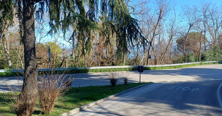 Vasto, una sola domanda per la gestione gratuita di Parco Trave