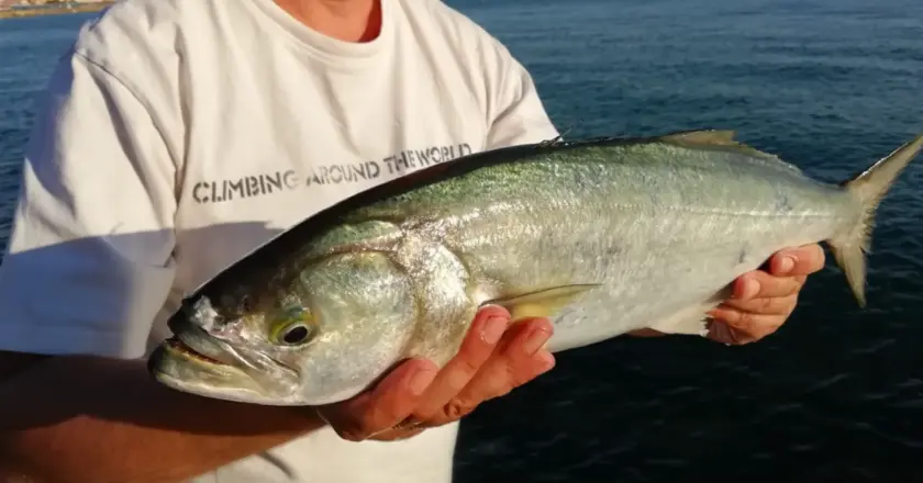 Pesca sportiva, approvato il Calendario ittico 2026, stagione al via dal 1 marzo