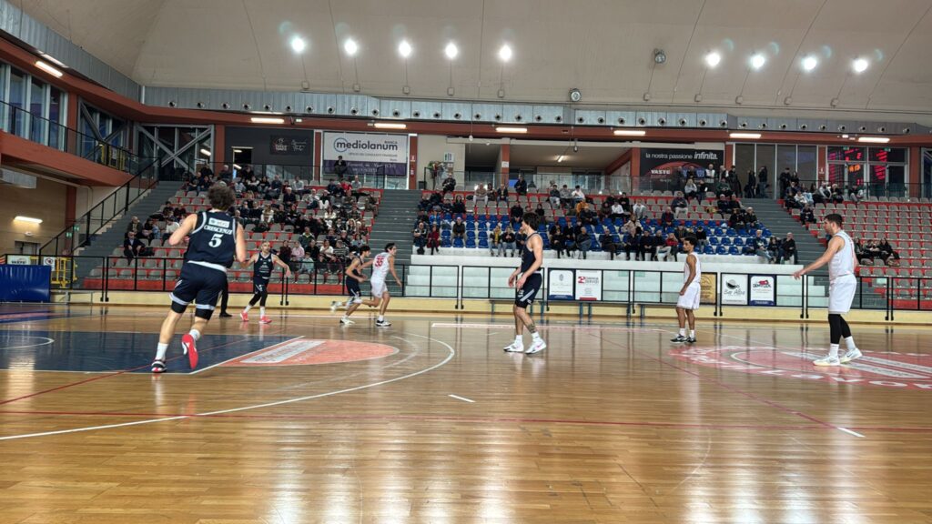 Vasto Basket
